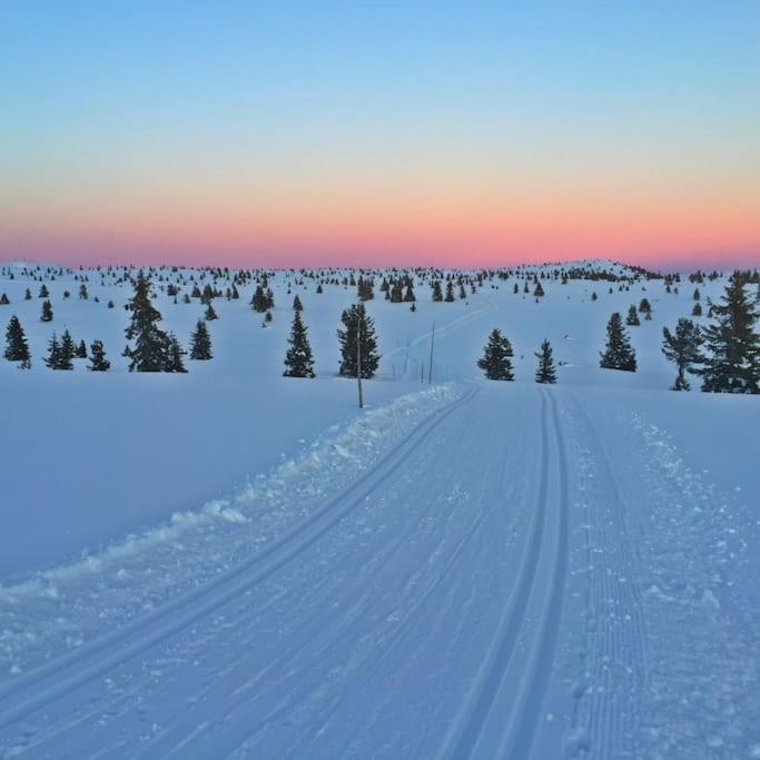 Golsfjellet - Bualie, Milevis Med Sykkelveier, Fiske Og Vannaktivitet, Ski Inn/Ut Til Alpinanlegg Og Langrennsloyper. Exterior foto
